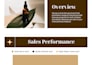 design customs template and ms office works
